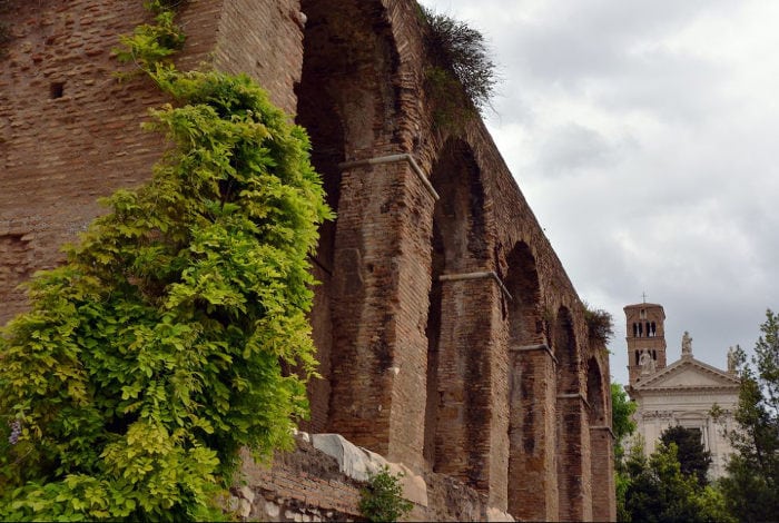 Судьба базилики Максенция в веках