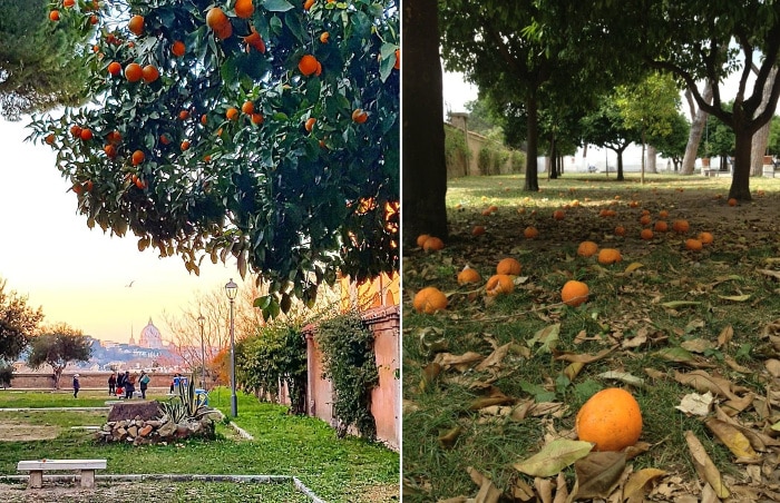 Апельсиновый сад в Риме
